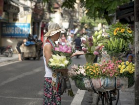 惠山区户外花卉租赁中心与仿真花卉装扮城区无锡惠山区花店电话